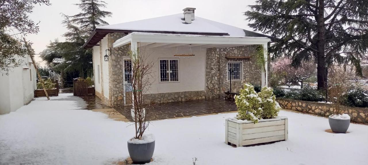 Trulli Del Capo By Monholiday Monopoli Εξωτερικό φωτογραφία